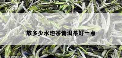 放多少水泡茶普洱茶好一点