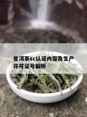 普洱茶sc认证内容及生产许可证号解析