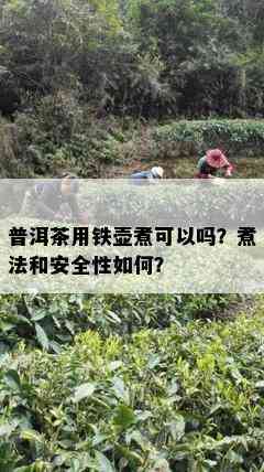 普洱茶用铁壶煮可以吗？煮法和安全性如何？