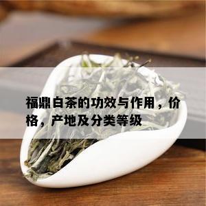 福鼎白茶的功效与作用，价格，产地及分类等级