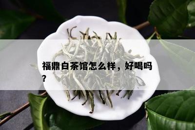 福鼎白茶馆怎么样，好喝吗？