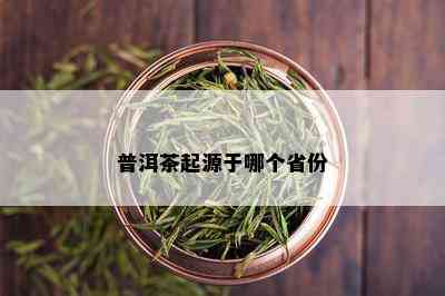 普洱茶起源于哪个省份