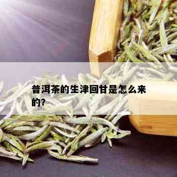 普洱茶的生津回甘是怎么来的？