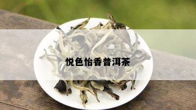 悦色怡香普洱茶