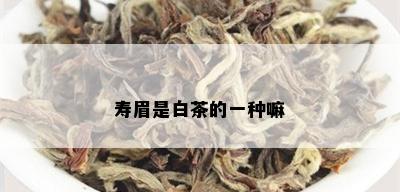 寿眉是白茶的一种嘛