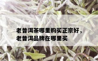 老普洱茶哪里购买正宗好，老普洱品牌在哪里买