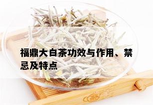 福鼎大白茶功效与作用、禁忌及特点