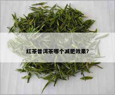 红茶普洱茶哪个减肥效果？