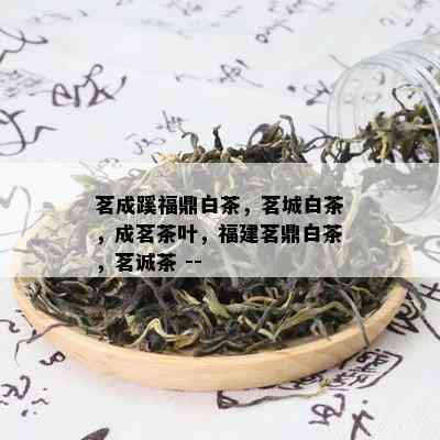 茗成蹊福鼎白茶，茗城白茶，成茗茶叶，福建茗鼎白茶，茗诚茶 --