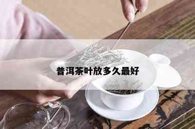 普洱茶叶放多久更好