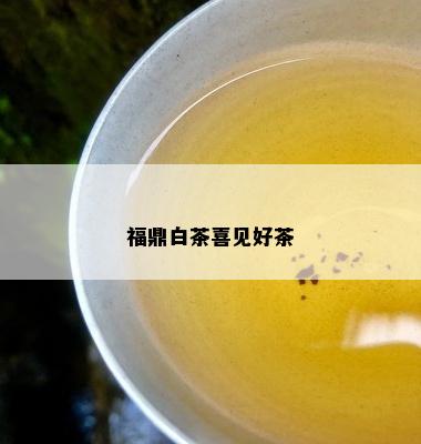 福鼎白茶喜见好茶