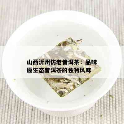 山西沂州仿老普洱茶：品味原生态普洱茶的独特风味