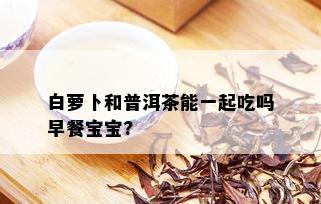 白萝卜和普洱茶能一起吃吗早餐宝宝?