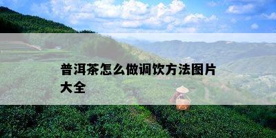 普洱茶怎么做调饮方法图片大全