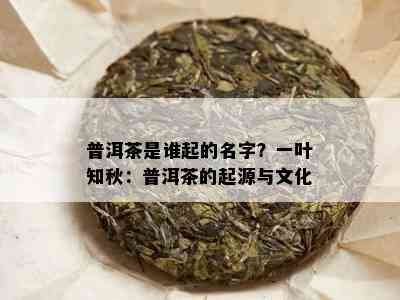 普洱茶是谁起的名字？一叶知秋：普洱茶的起源与文化