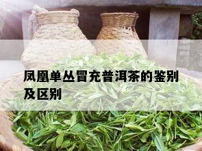 凤凰单丛冒充普洱茶的鉴别及区别