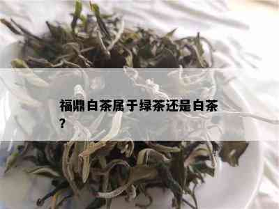 福鼎白茶属于绿茶还是白茶？