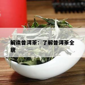 解读普洱茶：了解普洱茶全貌