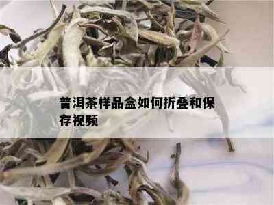 普洱茶样品盒如何折叠和保存视频