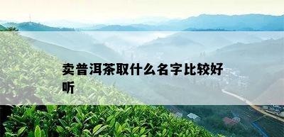 卖普洱茶取什么名字比较好听