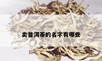 卖普洱茶的名字有哪些