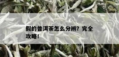 假的普洱茶怎么分辨？完全攻略！