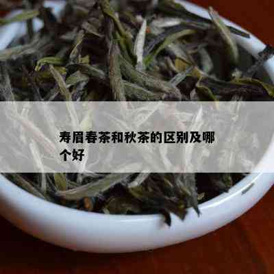 寿眉春茶和秋茶的区别及哪个好