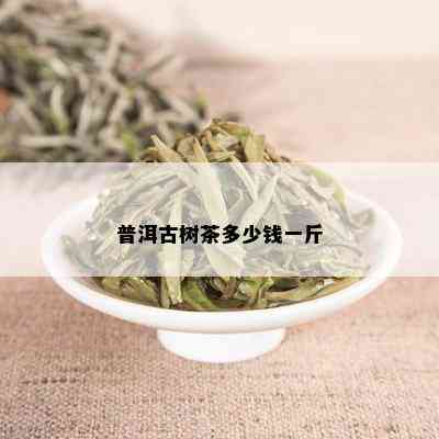 普洱古树茶多少钱一斤