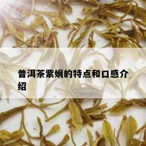 普洱茶紫娟的特点和口感介绍