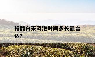 福鼎白茶闷泡时间多长最合适？