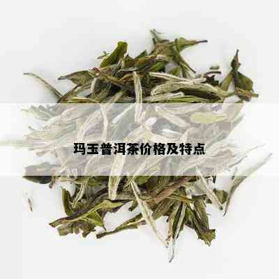 玛玉普洱茶价格及特点