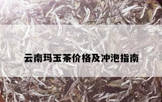 云南玛玉茶价格及冲泡指南