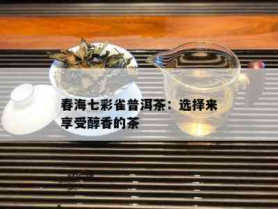 春海七彩雀普洱茶：选择来享受醇香的茶