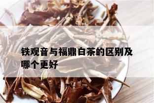 铁观音与福鼎白茶的区别及哪个更好