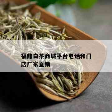 福鼎白茶商城平台电话和门店厂家直销