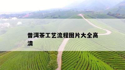 普洱茶工艺流程图片大全高清