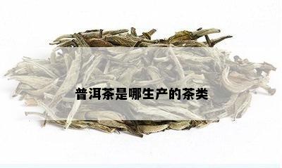 普洱茶是哪生产的茶类