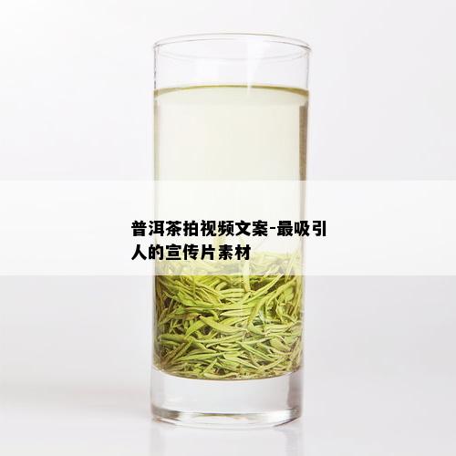 普洱茶拍视频文案-最吸引人的宣传片素材