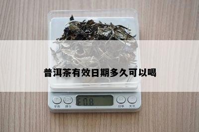 普洱茶有效日期多久可以喝