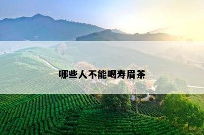 哪些人不能喝寿眉茶