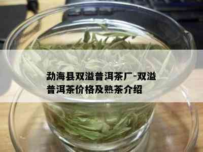 勐海县双溢普洱茶厂-双溢普洱茶价格及熟茶介绍