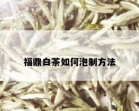 福鼎白茶如何泡制方法