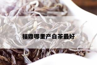 福鼎哪里产白茶更好