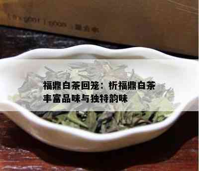 福鼎白茶回笼：析福鼎白茶丰富品味与独特韵味