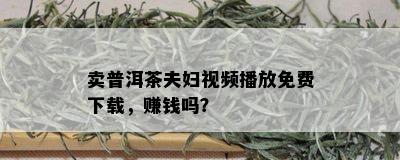 卖普洱茶夫妇视频播放免费下载，赚钱吗？