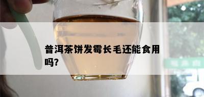 普洱茶饼发霉长毛还能食用吗？