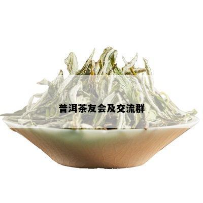 普洱茶友会及交流群