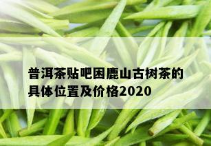 普洱茶贴吧困鹿山古树茶的具 *** 置及价格2020