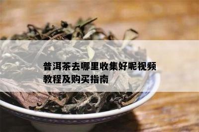 普洱茶去哪里收集好呢视频教程及购买指南