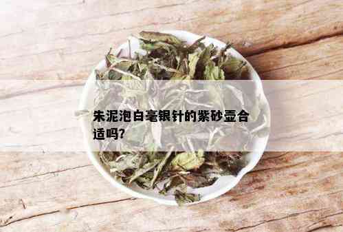 朱泥泡白毫银针的紫砂壶合适吗？